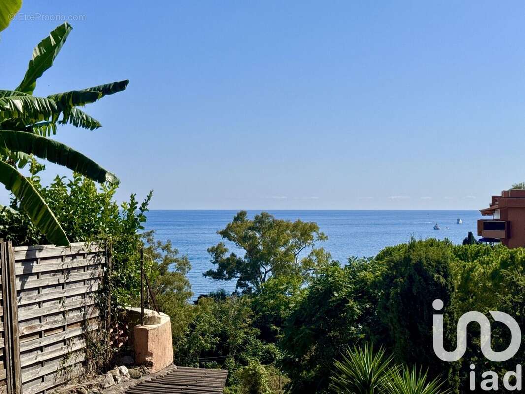 Photo 9 - Maison à ROQUEBRUNE-CAP-MARTIN
