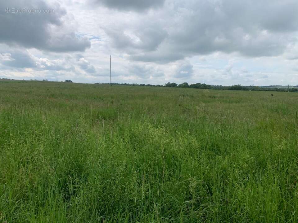 Terrain 441 m² à Distroff  - photo 3