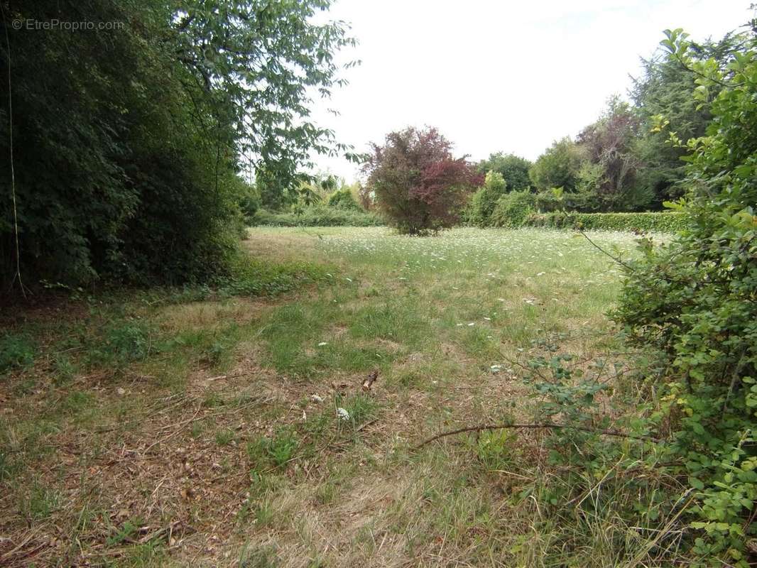 Terrain à VILLEMAIN