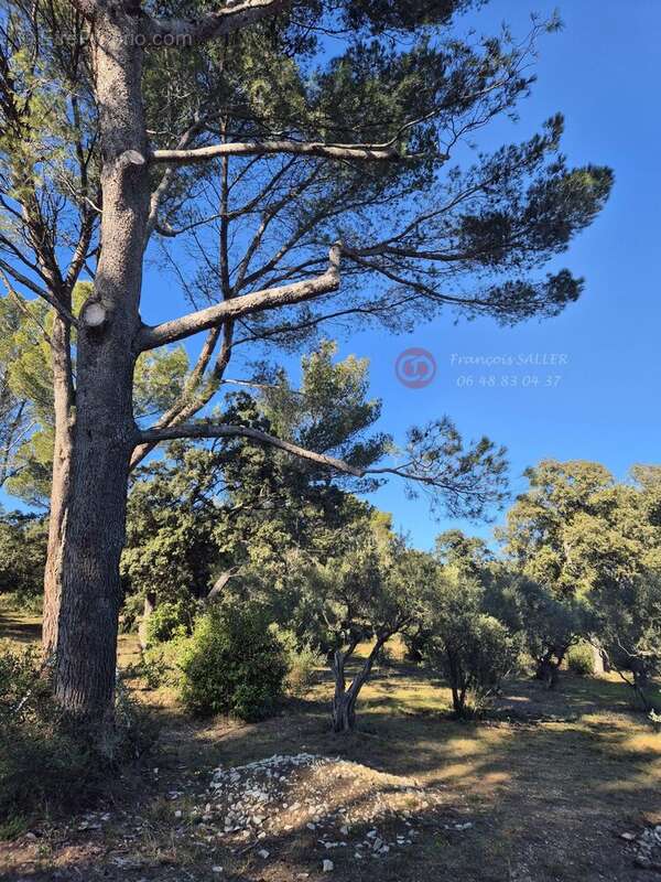 Maison à VILLENEUVE-LES-AVIGNON