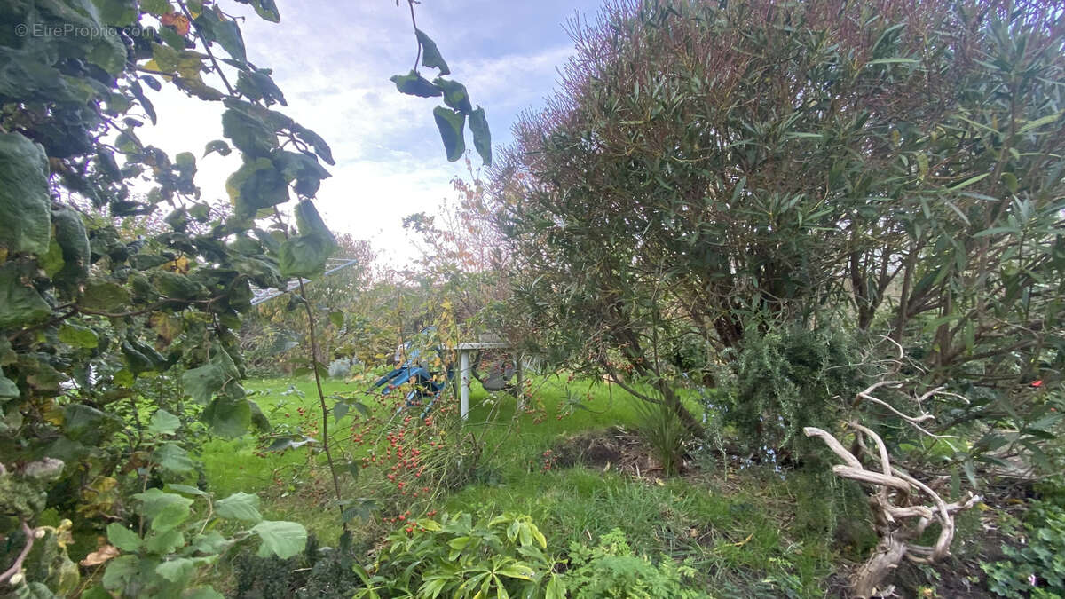 Maison à SAINT-PIERRE-EGLISE