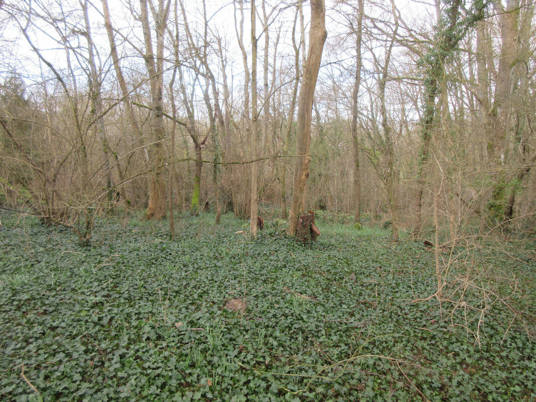 Terrain à SAINT-SIMEON