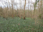 Terrain à SAINT-SIMEON