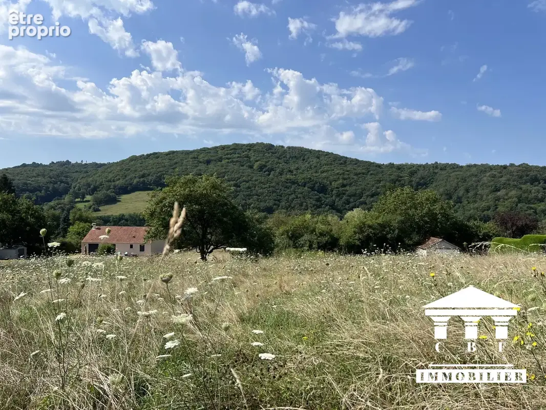 Terrain 1 306 m² à vendre à Saint-Sernin-Du-Bois (71200) - photo 3