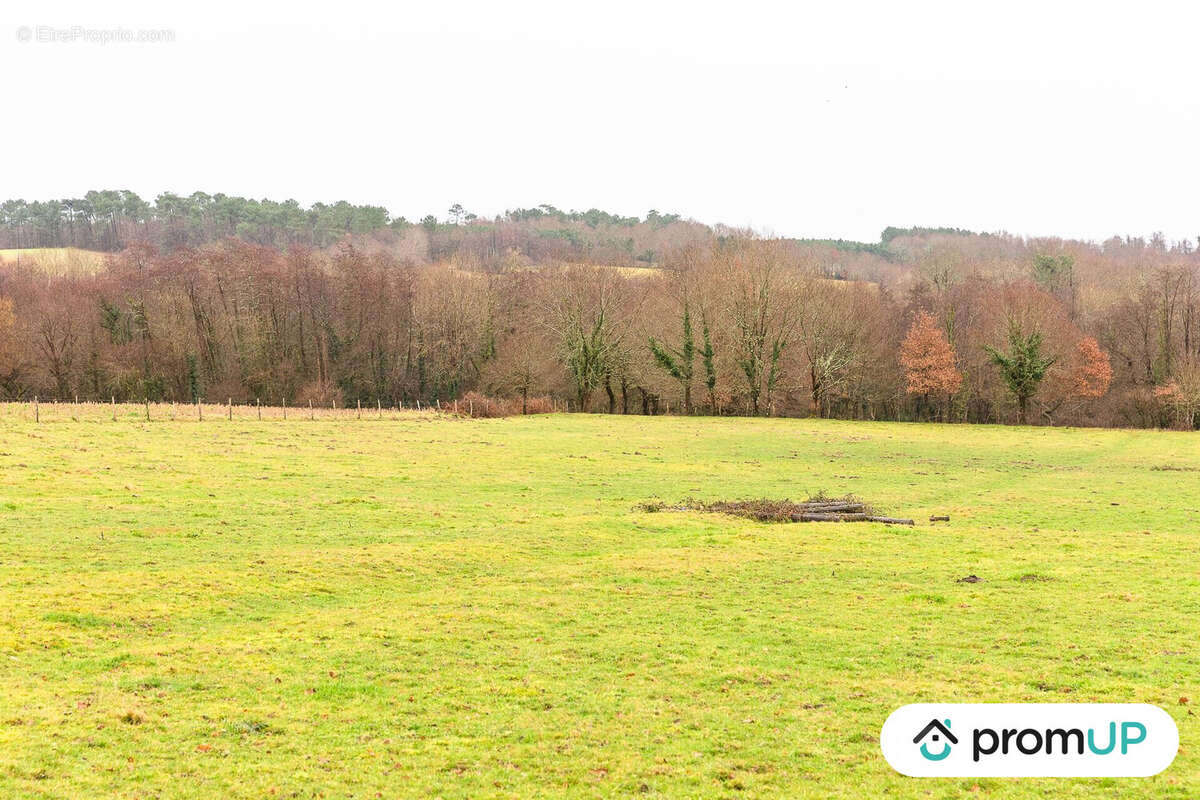 Terrain à BOISREDON