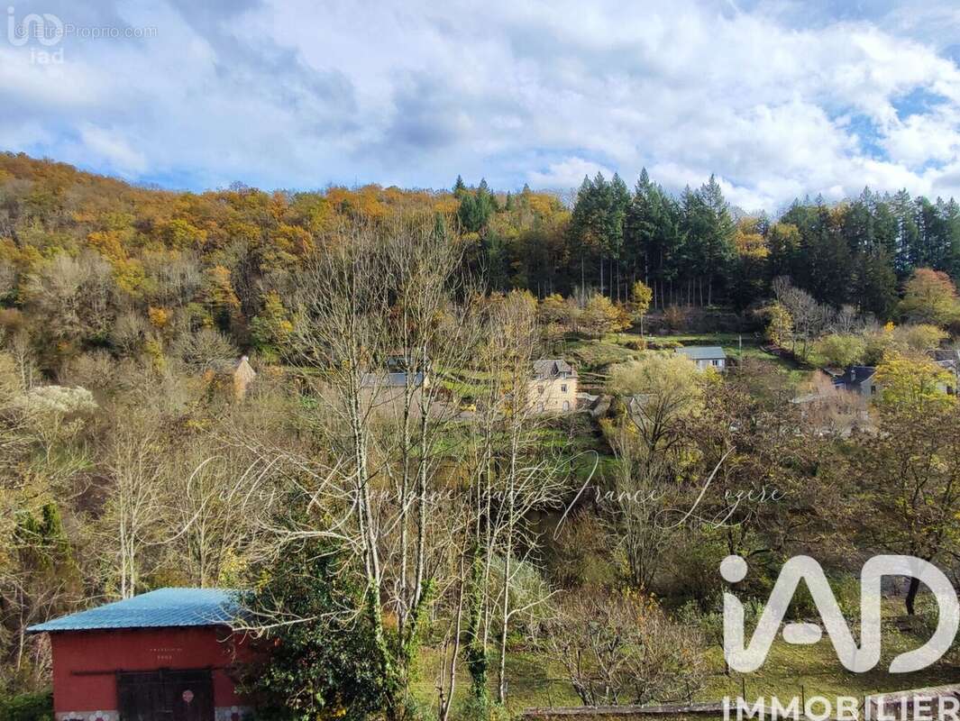 Photo 4 - Maison à SAINT-LAURENT-D'OLT