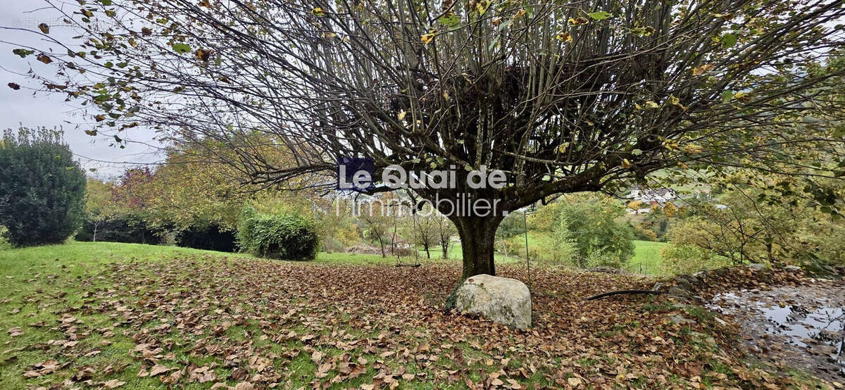 Terrain à SAINT-JORIOZ