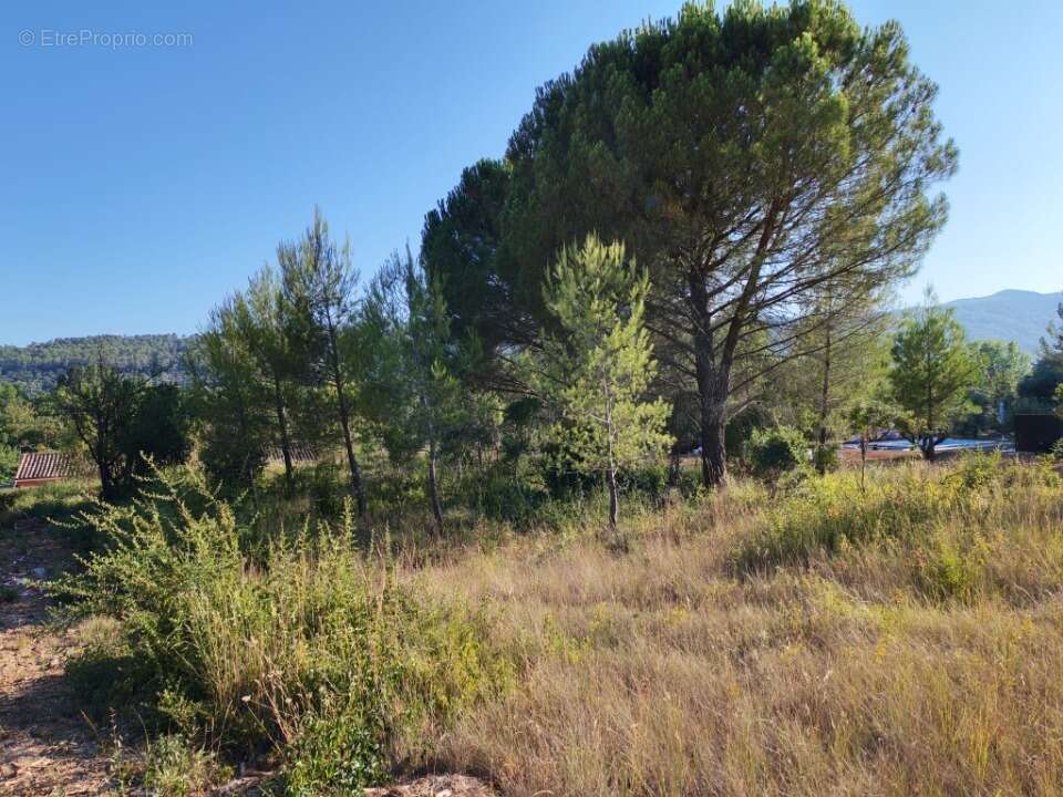 Terrain 900 m² à Camps-La-Source  - photo 5