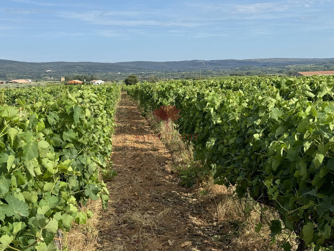 Terrain à SAINT-JEAN-DE-FOS