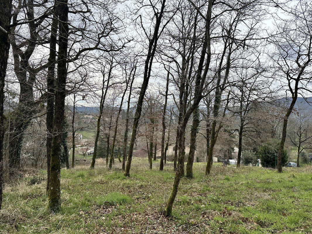 Terrain à LIVINHAC-LE-HAUT