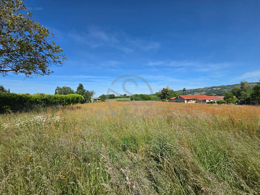 Terrain à SAINT-HILAIRE-DE-LA-COTE