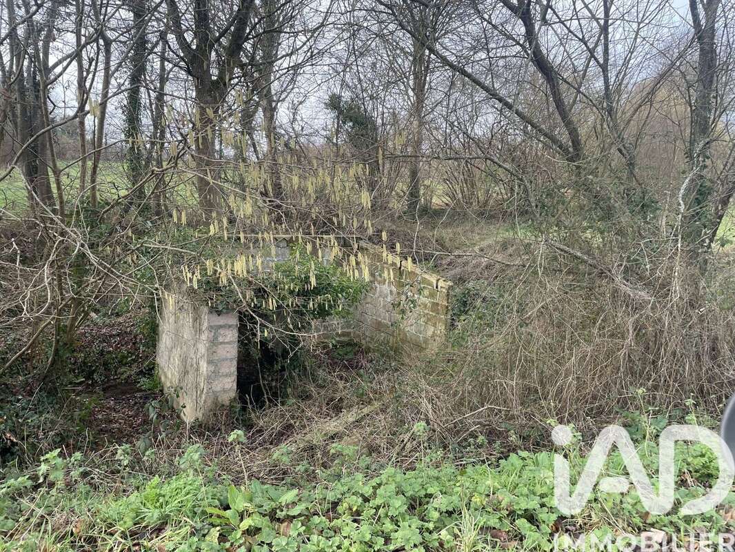 Photo 2 - Terrain à LE VIEUX-MARCHE