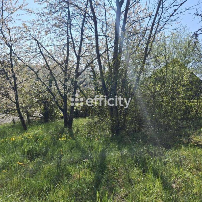 Terrain à ROUGEMONT