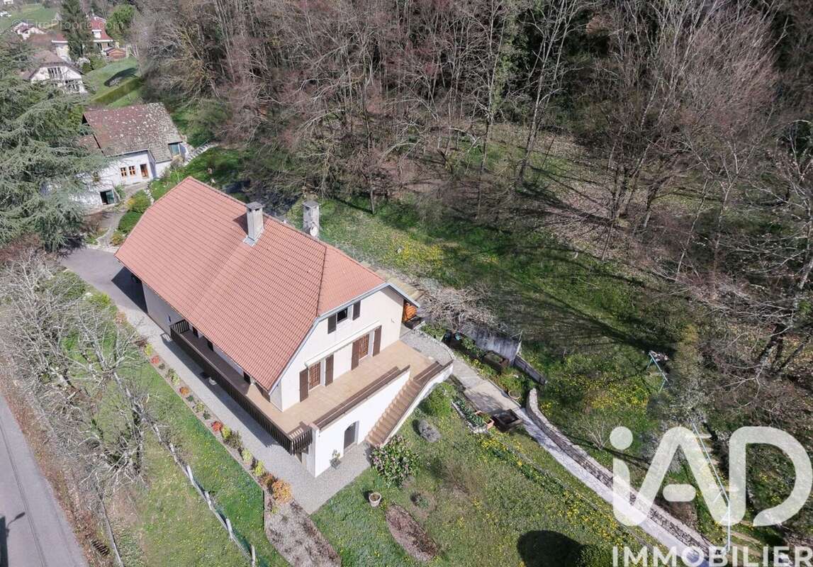 Maison 257 m² à Chindrieux  - photo 2
