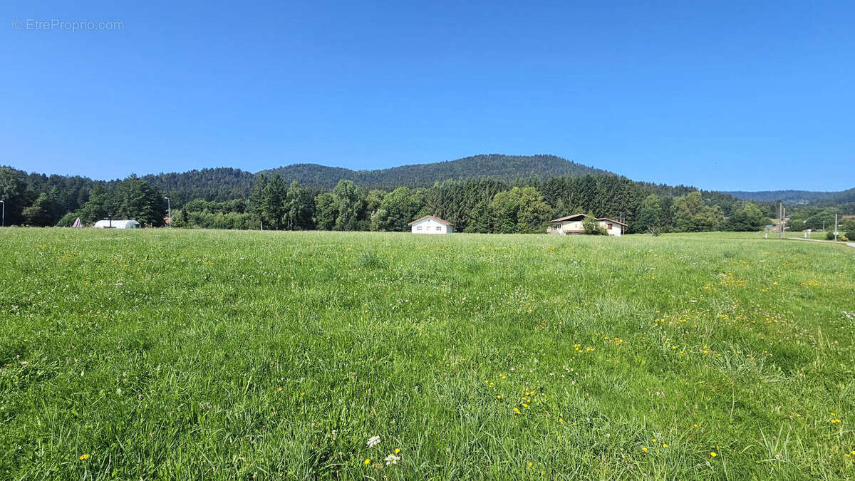 20250811_111125 - Terrain à CLEURIE