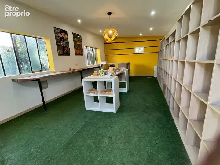 A vendre villa  + appartement independant + dependance + potager     limoux - photo 11