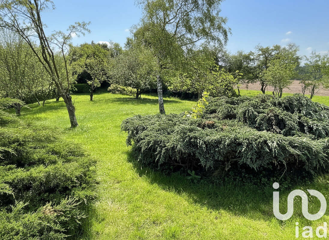 Photo 2 - Maison à LESSARD-EN-BRESSE