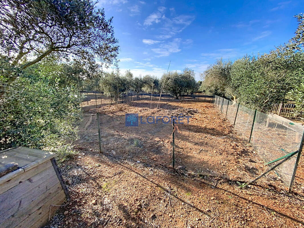 Terrain à MUDAISON