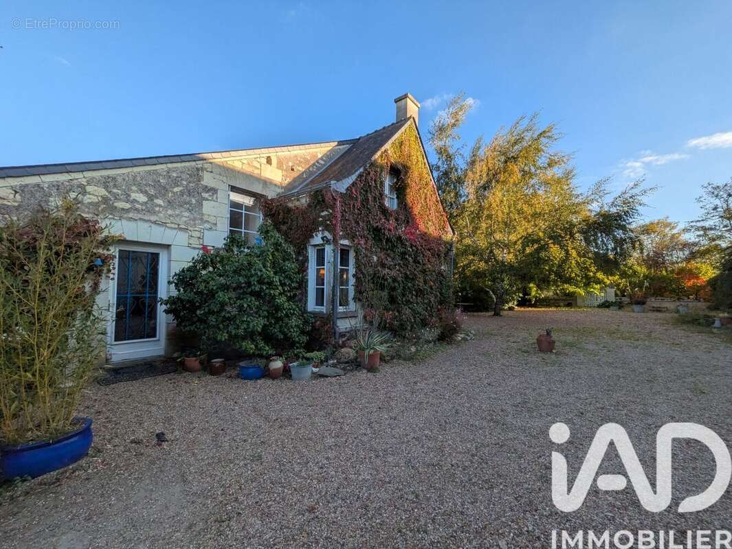 Photo 4 - Maison à BOURGUEIL