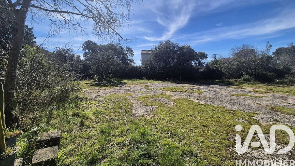 Photo 1 - Terrain à VERS-PONT-DU-GARD