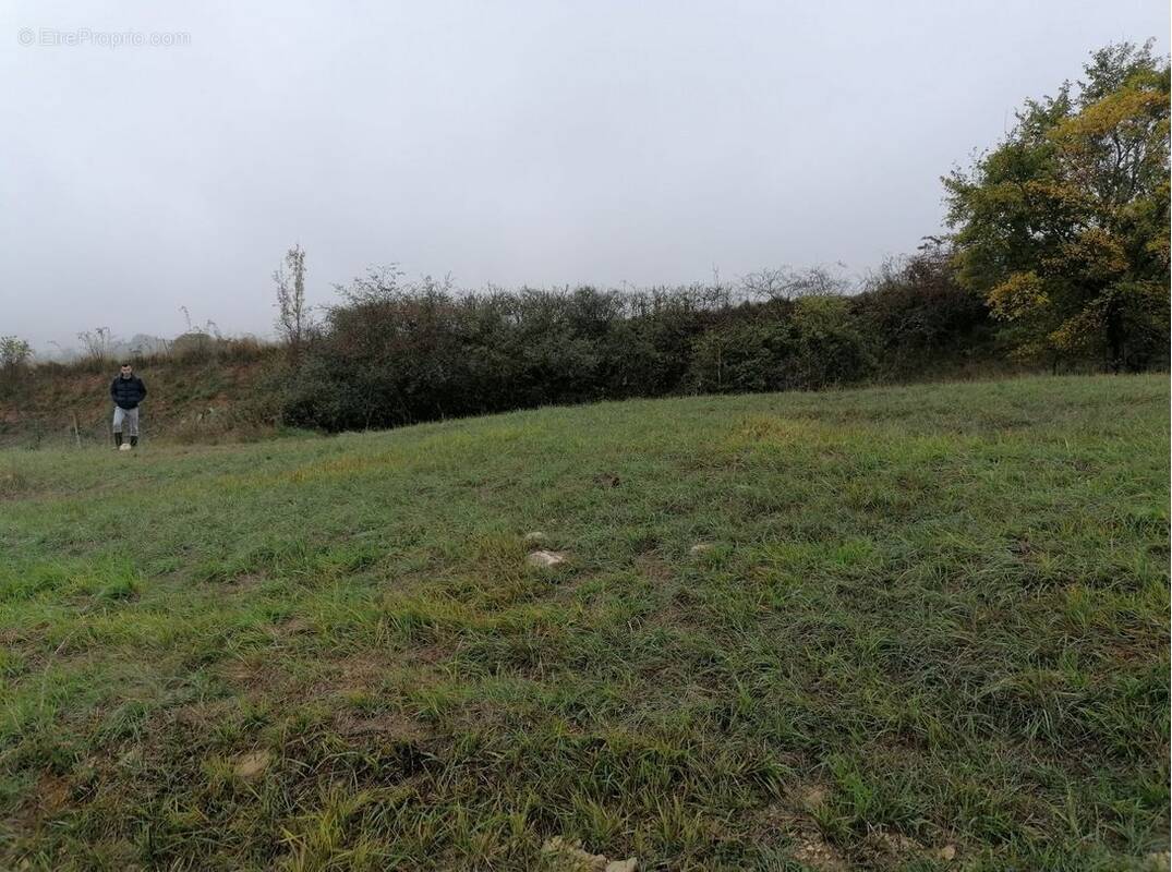 Terrain à CRUEJOULS