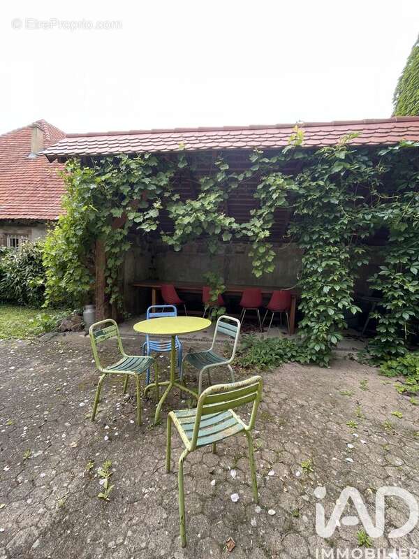 Maison 234 m² à Hattstatt  - photo 3