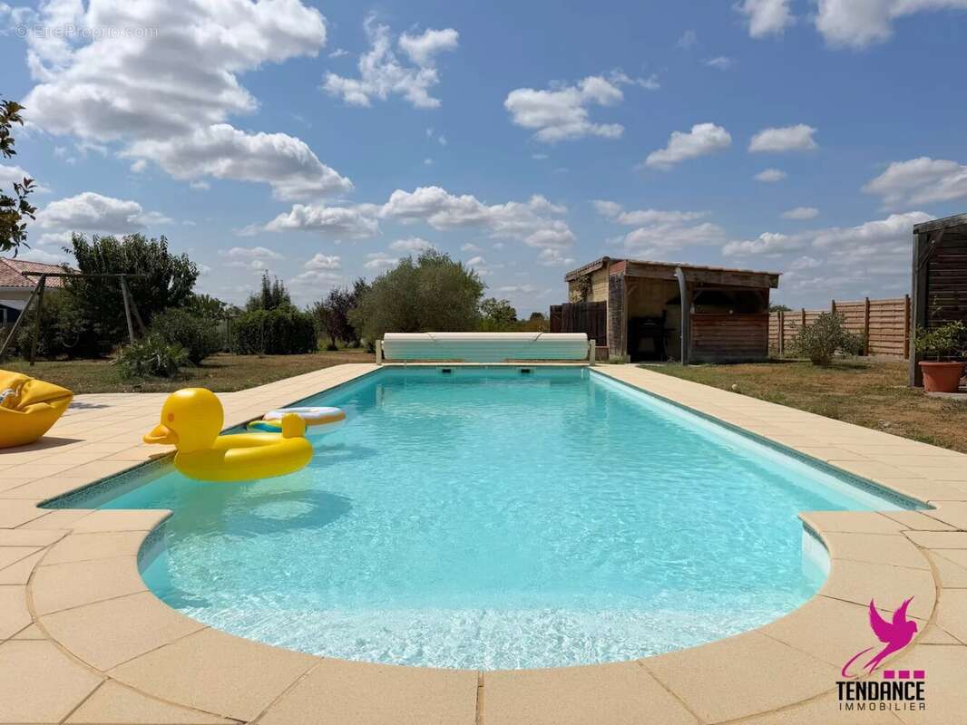 Villa de 200 m² sur 5 500 m² de terrain – potentiel de division - photo 2
