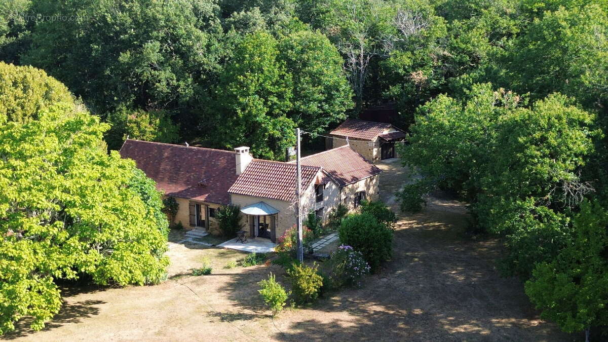 Ensemble périgordin rénové, ses deux roulottes et terrain de plus de 4 ha. - photo 7