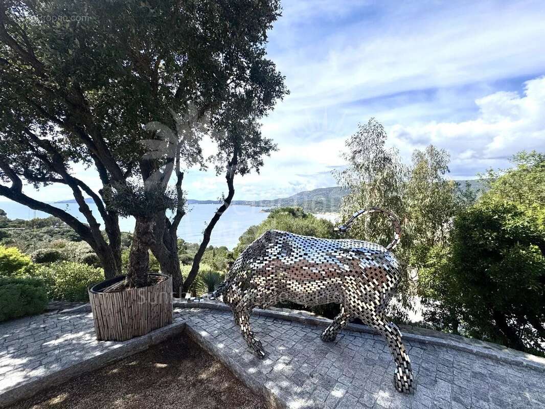 Maison à LE LAVANDOU