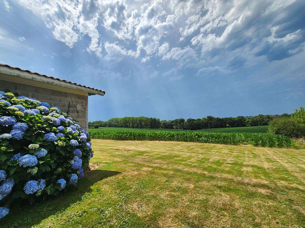 Maison à MONTFORT-EN-CHALOSSE