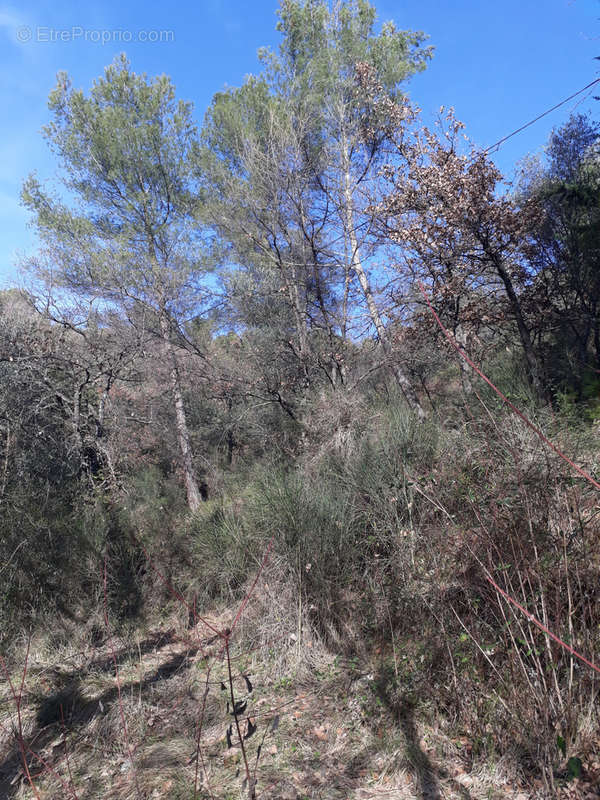 Terrain à L&#039;ESCARENE