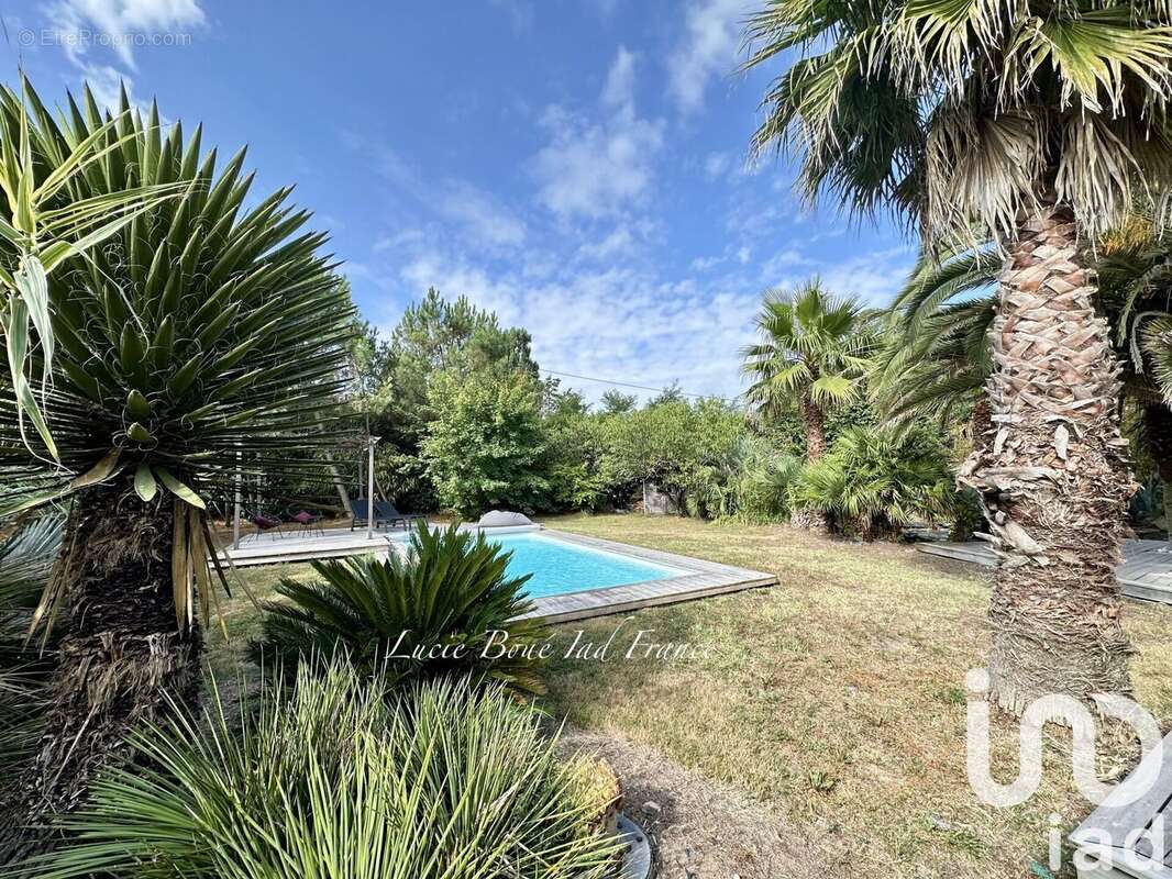 Photo 7 - Maison à BOURGNEUF-EN-RETZ