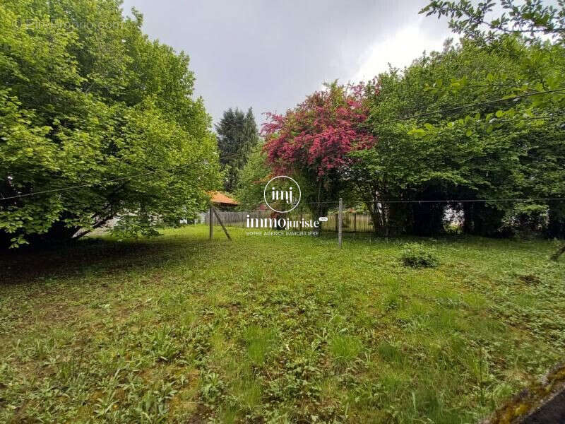 Appartement 525 m² à Bujaleuf  - photo 3