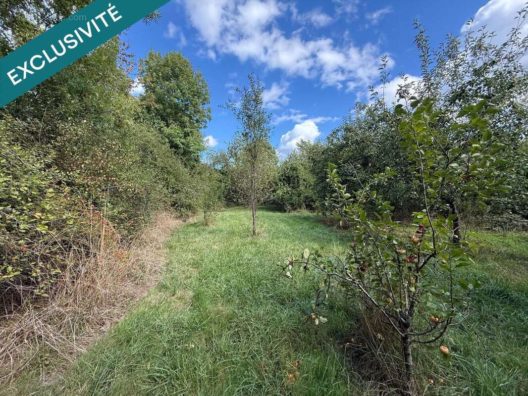 Photo 4 - Terrain à LES MONTHAIRONS