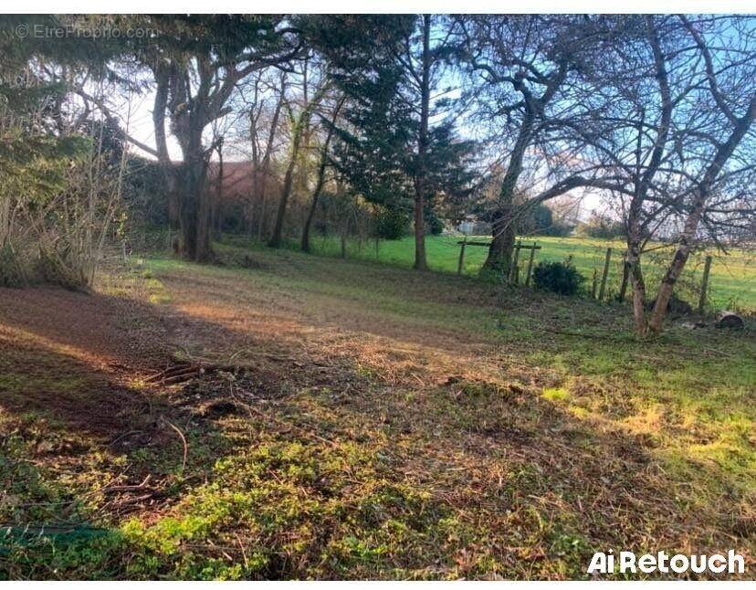 Terrain à CORCOUE-SUR-LOGNE