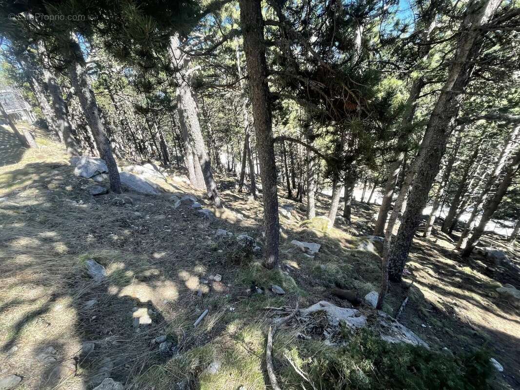 Terrain à LES ANGLES