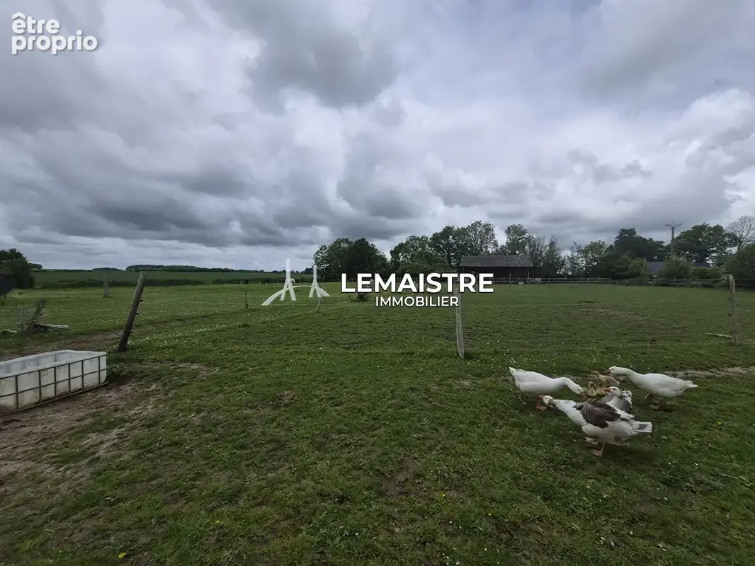 Maison de maître à vendre - Secteur Cany-Barville - 202 m² - 6 chambres - Terrain de 1,2 hectare proche mer - photo 8