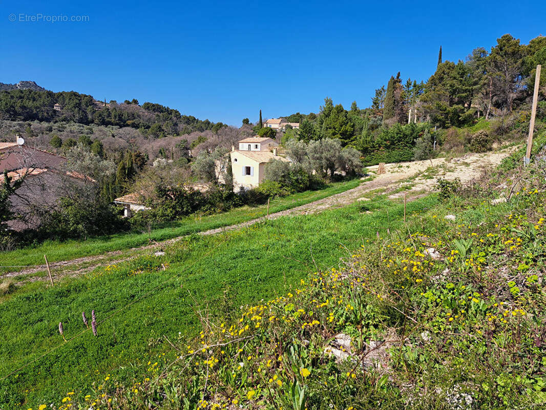 Terrain à LE BARROUX