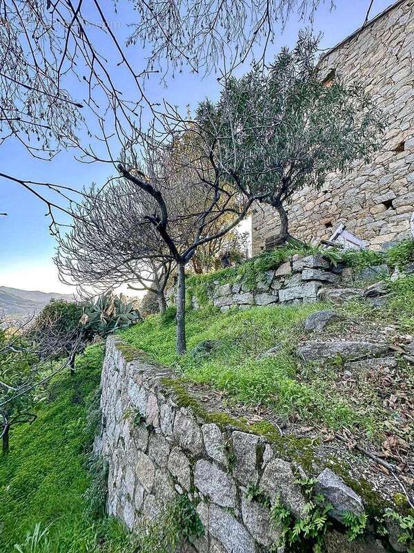 Maison à SARROLA-CARCOPINO