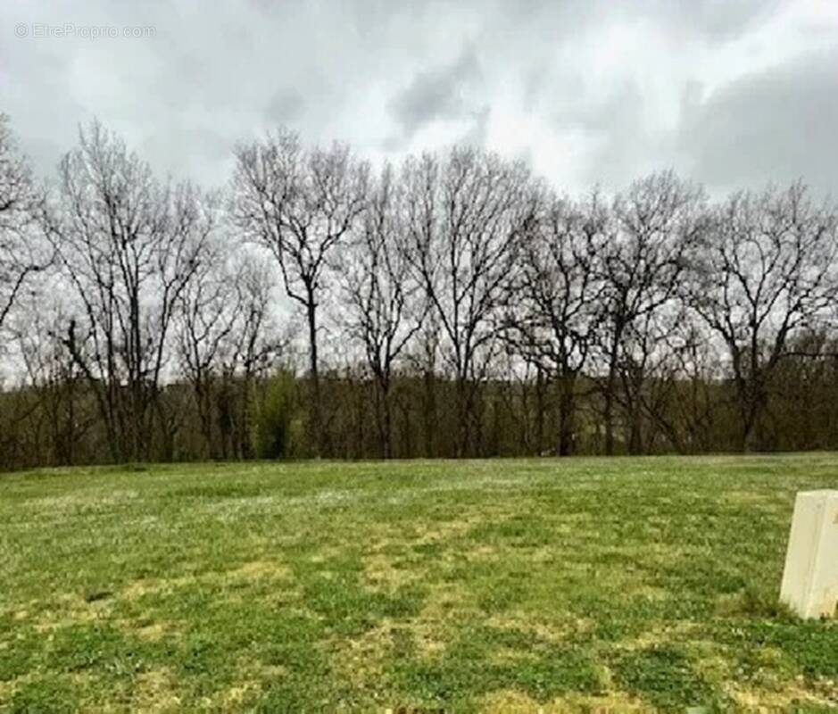 Terrain à MANTHELAN