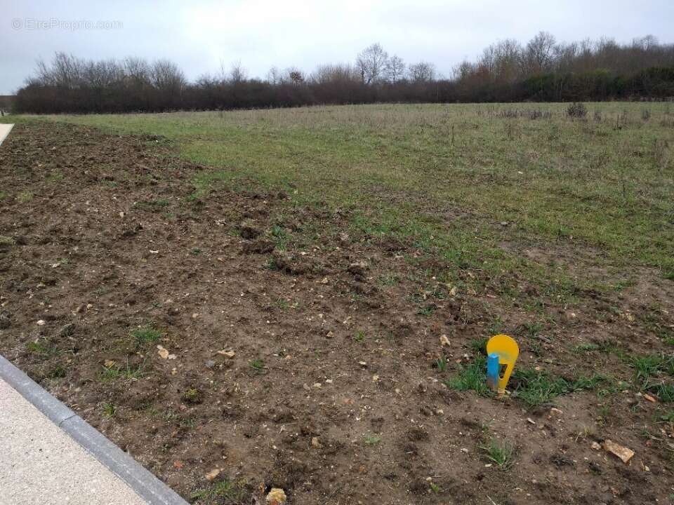 Terrain à SAINT-FARGEAU-PONTHIERRY