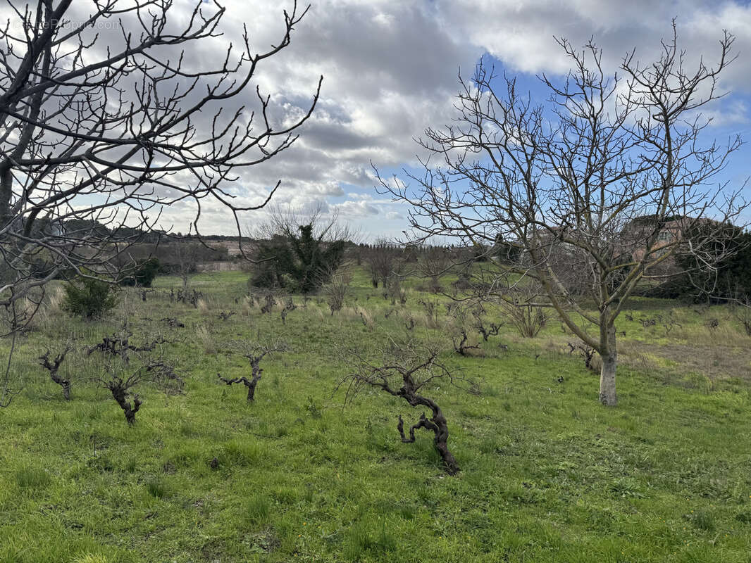 Maison à MONTPEYROUX