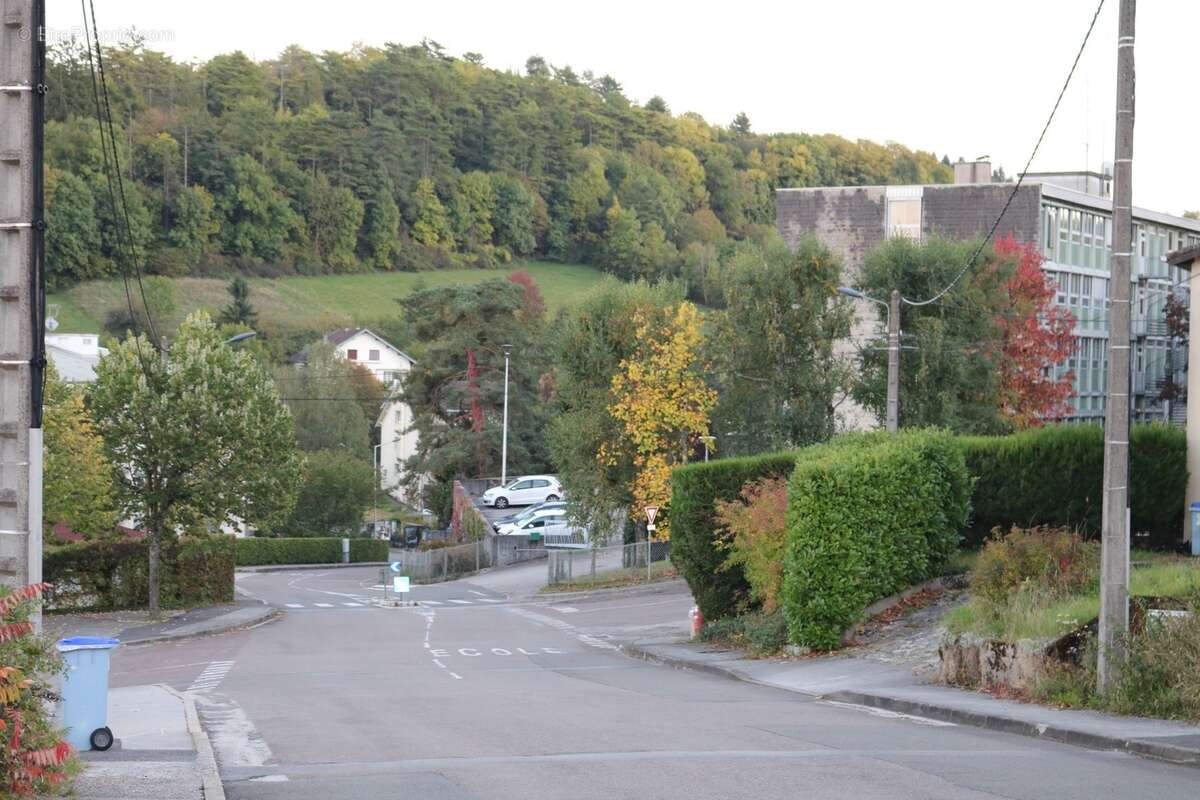 Terrain à vendre  LONS LE SAUNIER (39) - photo 2