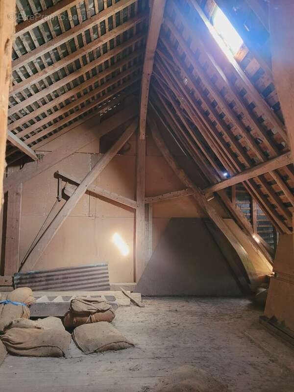 Maison 300 m² à Daubeuf-La-Campagne  - photo 6