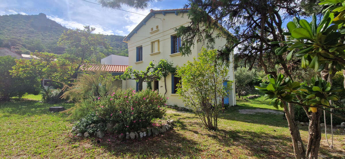 Maison à MONTALBA-LE-CHATEAU