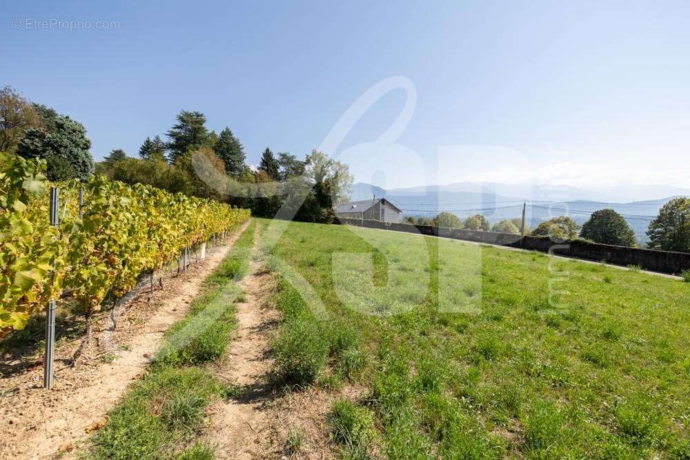 Terrain viabilisé (Lot 3) - Terrain à SAINT-PIERRE-D&#039;ALBIGNY