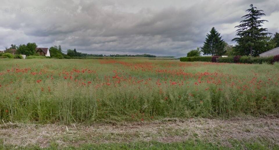 Terrain à ARMENTIERES-EN-BRIE