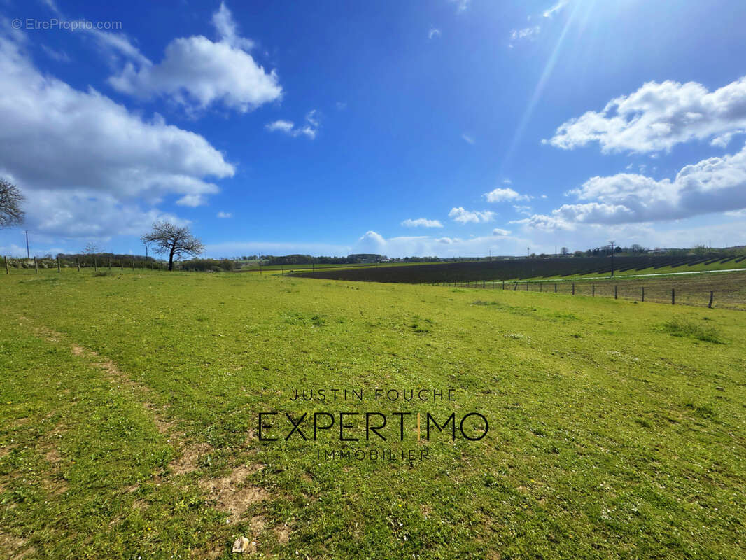 Grande longère 460 m2 à rénover sur 13 061 M2 avec vue panoramique - photo 14