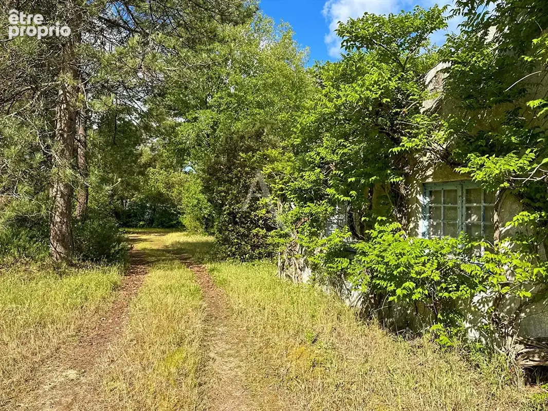 Maison atypique de 1927 - cadre calme et boisé ! - photo 17