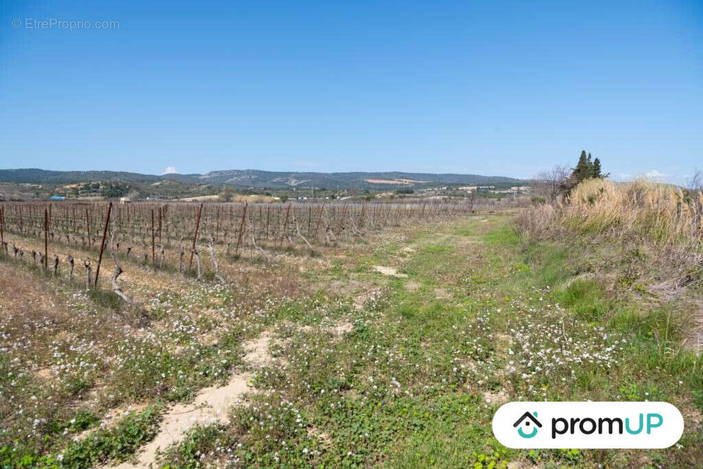 Terrain à PEYRIAC-DE-MER